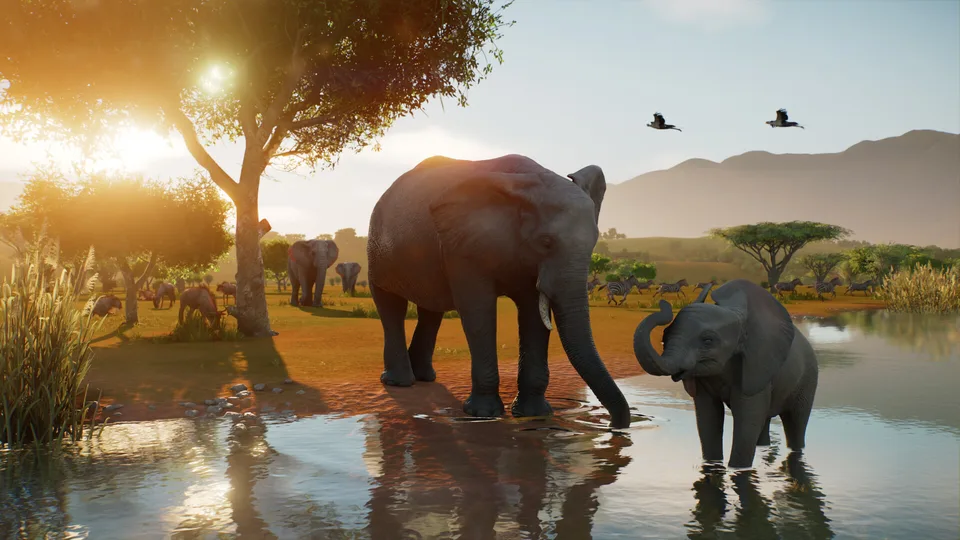 Elephants and zebras at a Wildlife Reserve watering hole