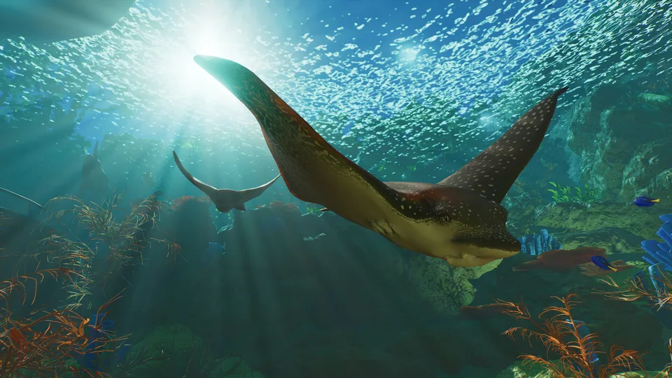 Manta rays gliding through a sunlit aquarium