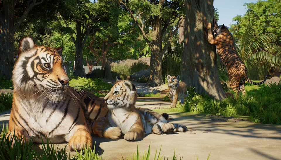Sumatran tiger resting in a lush Planet Zoo 2 habitat