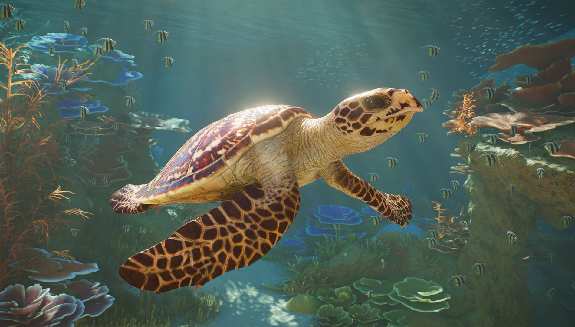 Hawksbill turtle swimming in a Planet Zoo 2 aquarium
